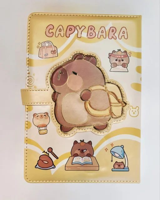 دفتر چرمی فانتزی مگنتی